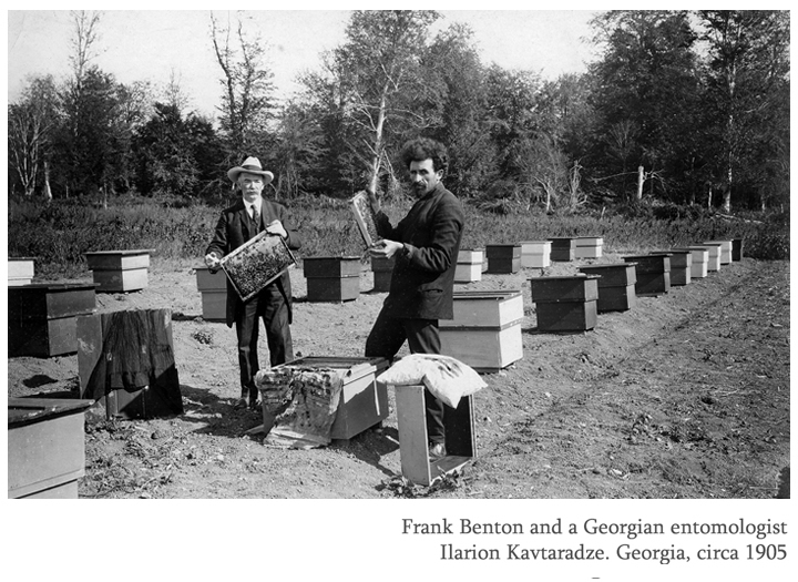 Frank Benton and Ilarion Kavtaradze, Georgia, circa 1905