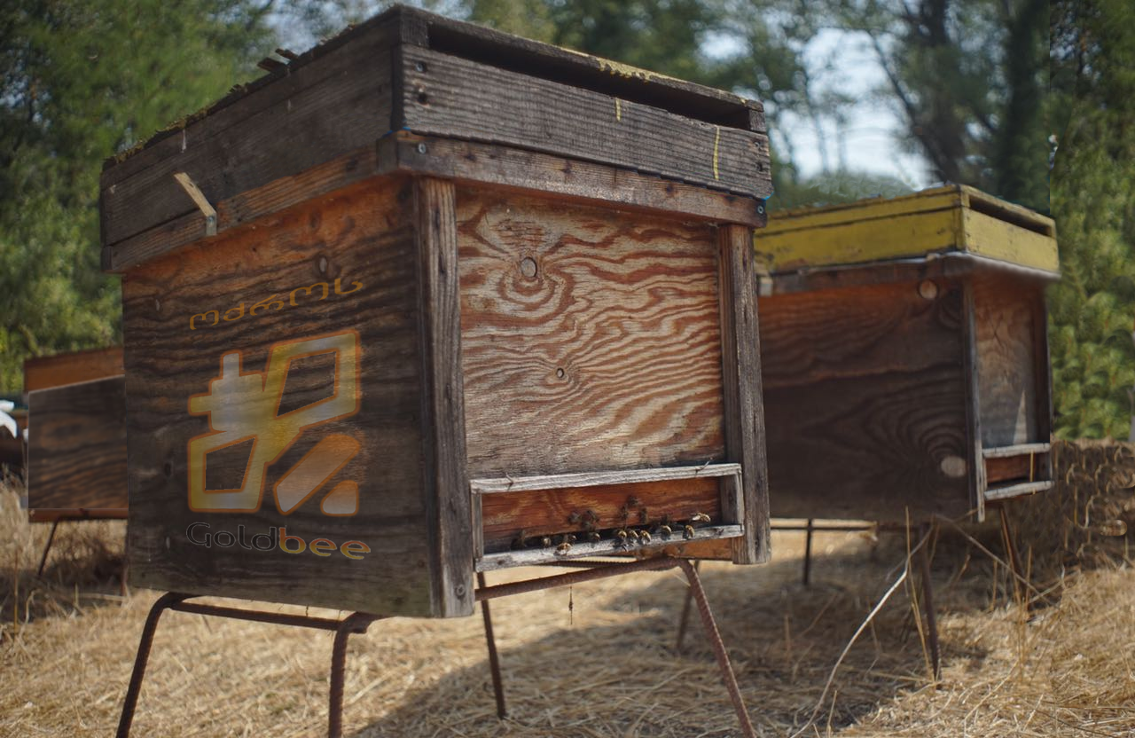 Caucasian honey - GOLDBEE