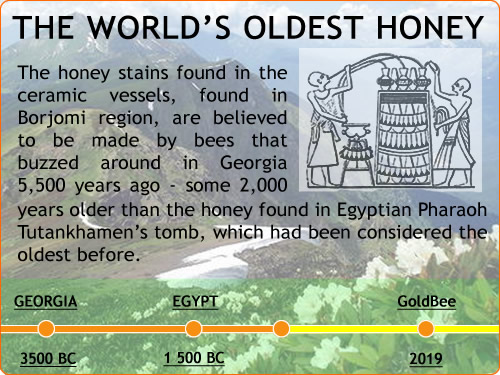 The world's oldest honey